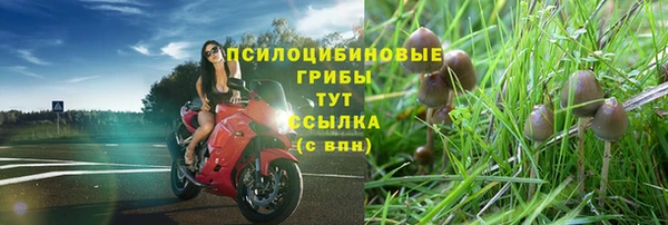 таблы Алзамай