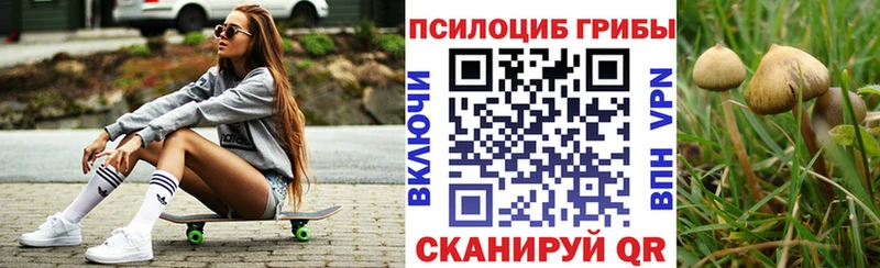 Галлюциногенные грибы Magic Shrooms  Волхов 