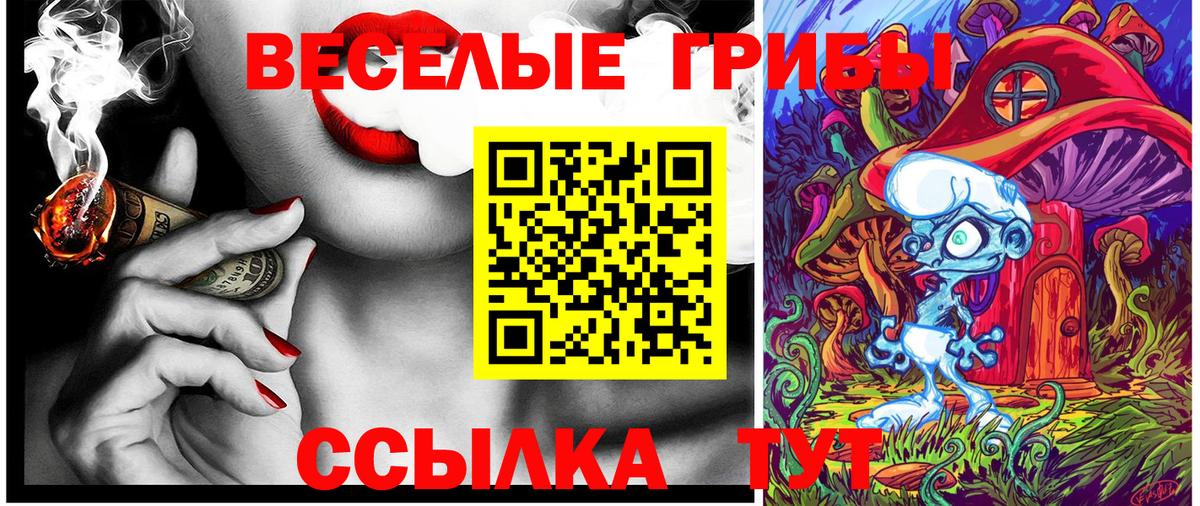 Волхов  Псилоцибиновые грибы ЛСД  Галлюциногенные грибы MAGIC MUSHROOMS  Вход с VPN 