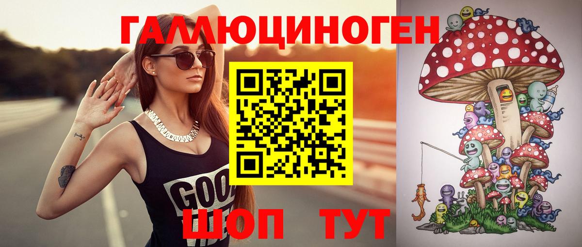 Галлюциногенные грибы мухоморы Волхов